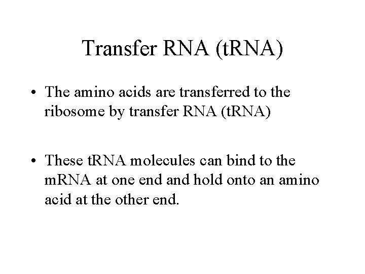 Transfer RNA (t. RNA) • The amino acids are transferred to the ribosome by