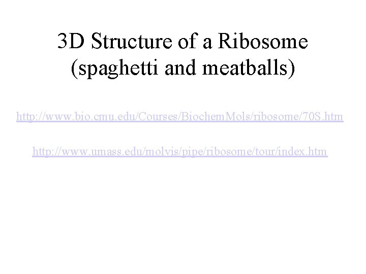 3 D Structure of a Ribosome (spaghetti and meatballs) http: //www. bio. cmu. edu/Courses/Biochem.