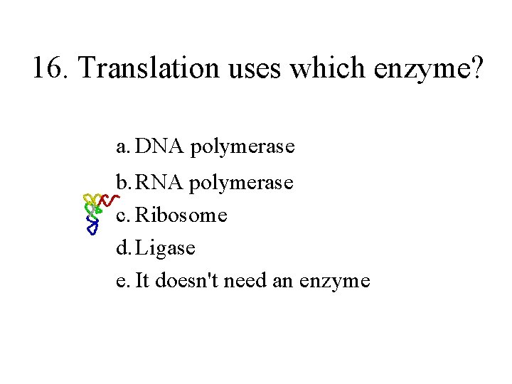 16. Translation uses which enzyme? a. DNA polymerase b. RNA polymerase c. Ribosome d.