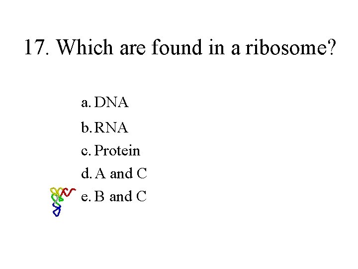 17. Which are found in a ribosome? a. DNA b. RNA c. Protein d.