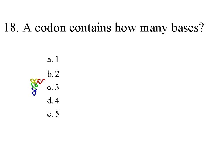 18. A codon contains how many bases? a. 1 b. 2 c. 3 d.