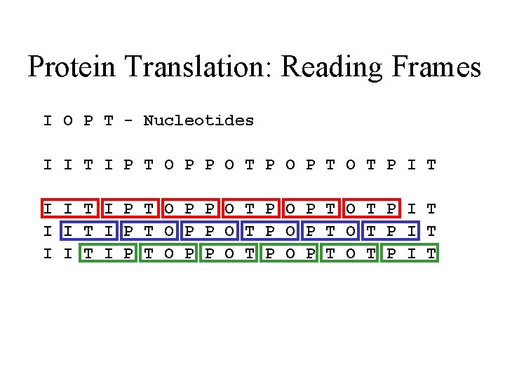 Protein Translation: Reading Frames I O P T - Nucleotides I I T I