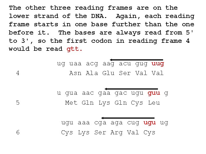 The other three reading frames are on the lower strand of the DNA. Again,