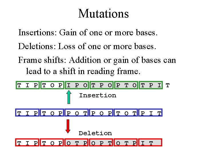 Mutations Insertions: Gain of one or more bases. Deletions: Loss of one or more