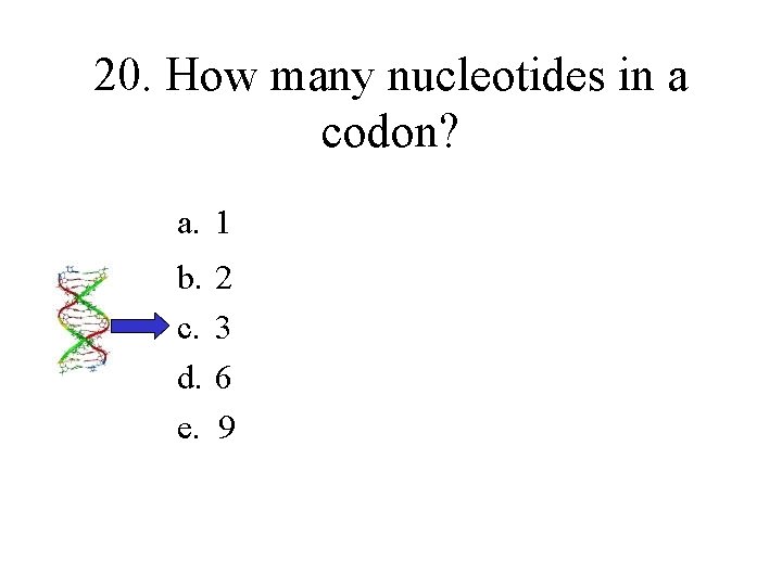 20. How many nucleotides in a codon? a. 1 b. 2 c. 3 d.