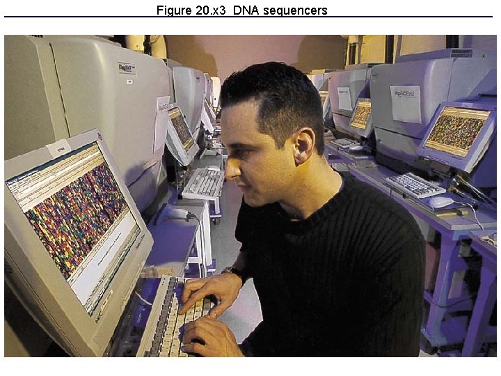 Figure 20. x 3 DNA sequencers 
