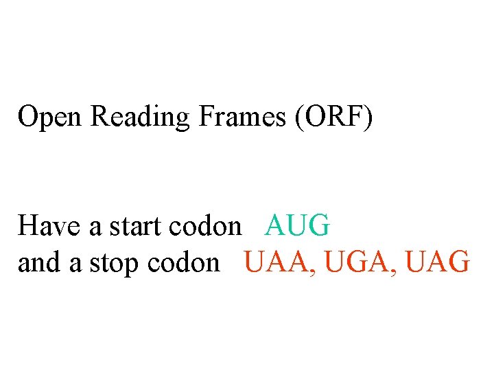 Open Reading Frames (ORF) Have a start codon AUG and a stop codon UAA,