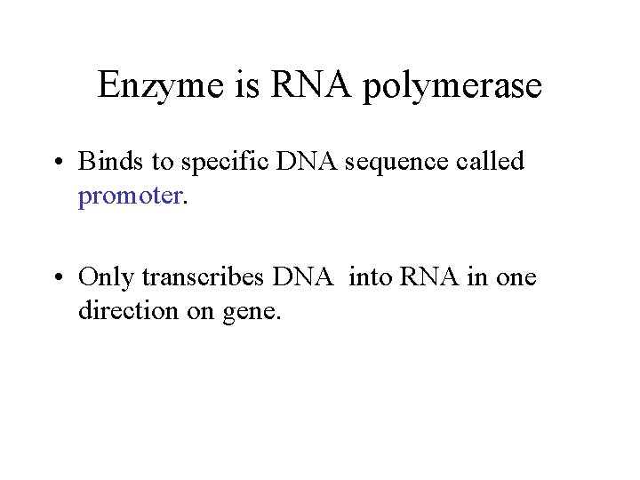 Enzyme is RNA polymerase • Binds to specific DNA sequence called promoter. • Only