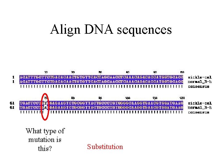 Align DNA sequences What type of mutation is this? Substitution 