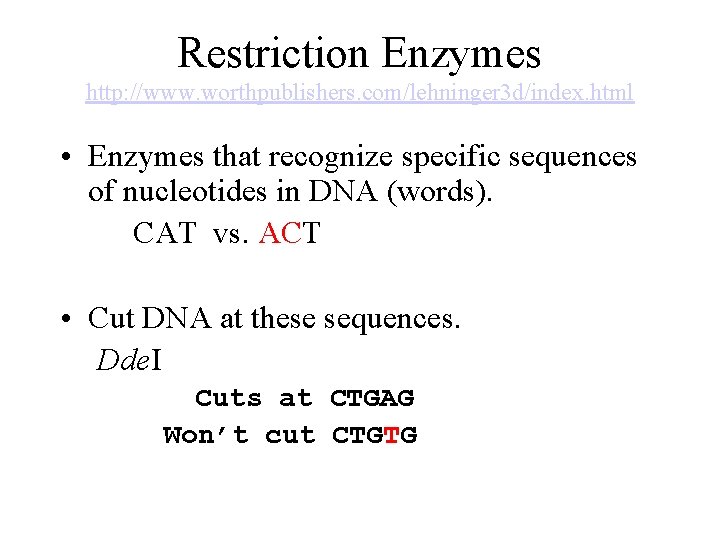 Restriction Enzymes http: //www. worthpublishers. com/lehninger 3 d/index. html • Enzymes that recognize specific