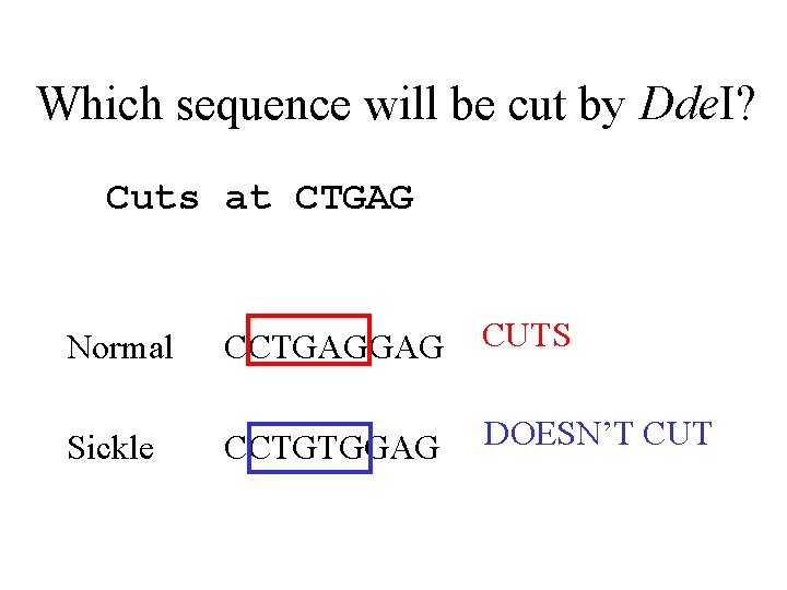 Which sequence will be cut by Dde. I? Cuts at CTGAG Normal CCTGAGGAG CUTS