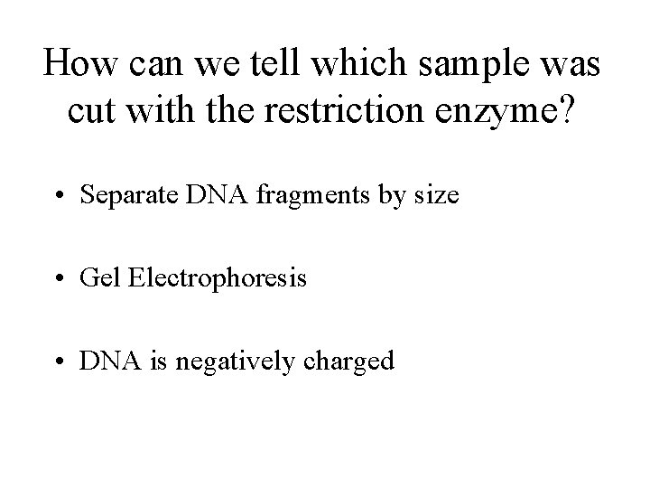 How can we tell which sample was cut with the restriction enzyme? • Separate