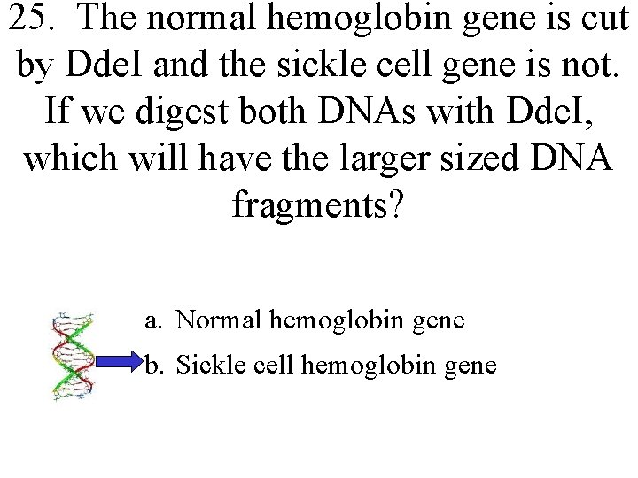 25. The normal hemoglobin gene is cut by Dde. I and the sickle cell