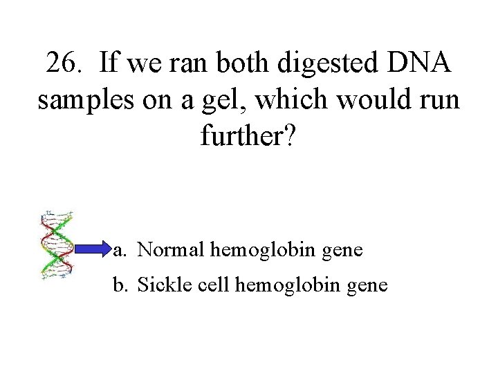 26. If we ran both digested DNA samples on a gel, which would run