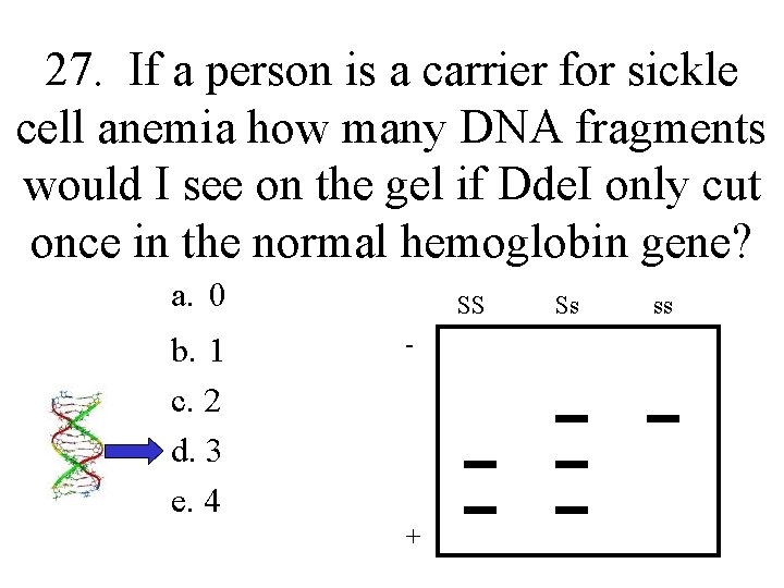 27. If a person is a carrier for sickle cell anemia how many DNA