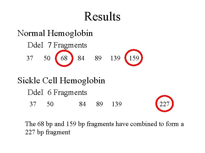 Results Normal Hemoglobin Dde. I 7 Fragments 37 50 68 84 89 139 159