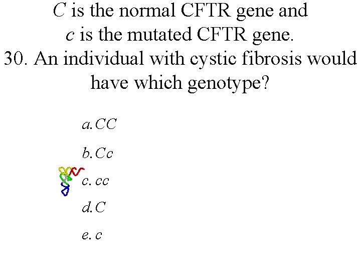C is the normal CFTR gene and c is the mutated CFTR gene. 30.