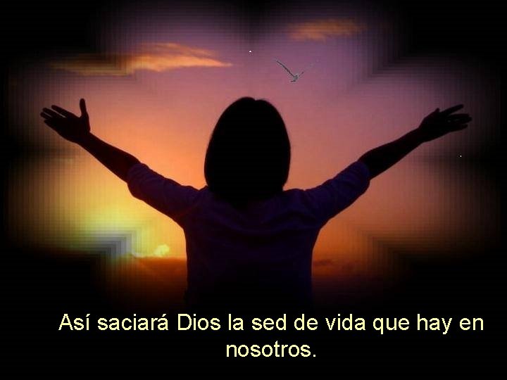 Así saciará Dios la sed de vida que hay en nosotros. 