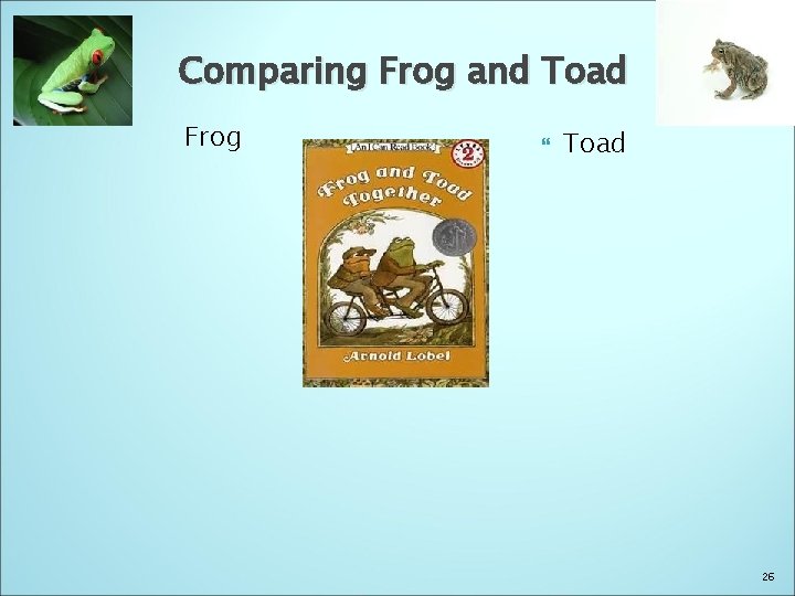 Comparing Frog and Toad Frog Toad 26 