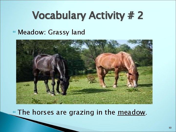 Vocabulary Activity # 2 Meadow: Grassy land The horses are grazing in the meadow.