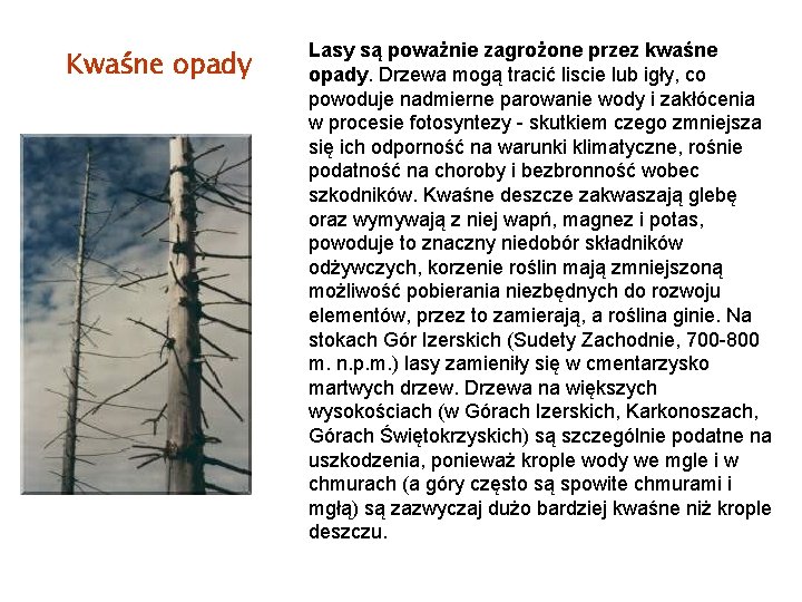 Kwaśne opady Lasy są poważnie zagrożone przez kwaśne opady. Drzewa mogą tracić liscie lub