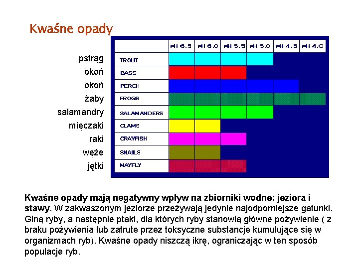 Kwaśne opady pstrąg okoń żaby salamandry mięczaki raki węże jętki Kwaśne opady mają negatywny