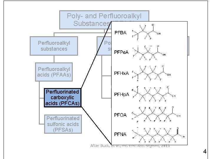 Poly- and Perfluoroalkyl Substances (PFAS) Perfluoroalkyl substances Perfluoroalkyl acids (PFAAs) Perfluorinated carboxylic acids (PFCAs)