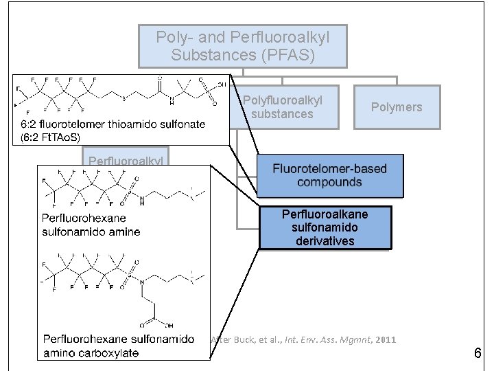 Poly- and Perfluoroalkyl Substances (PFAS) Perfluoroalkyl substances Perfluoroalkyl acids (PFAAs) Perfluorinated carboxylic acids (PFCAs)