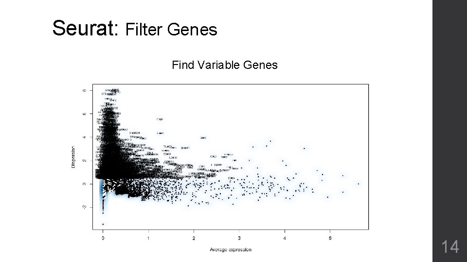 Seurat: Filter Genes Find Variable Genes 14 