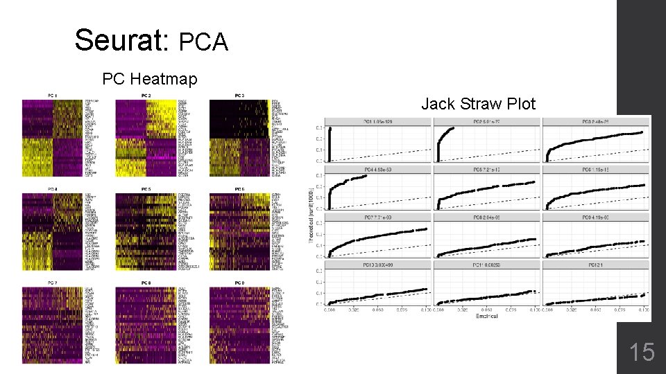 Seurat: PCA PC Heatmap Jack Straw Plot 15 