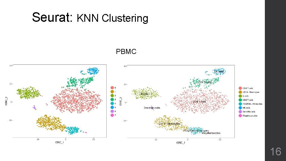 Seurat: KNN Clustering PBMC 16 