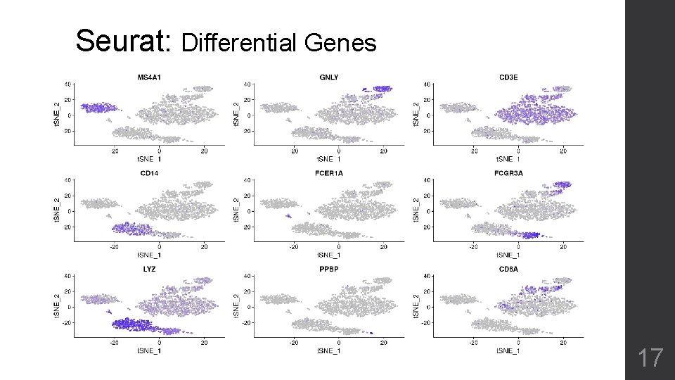 Seurat: Differential Genes 17 