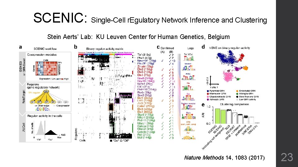 SCENIC: Single-Cell r. Egulatory Network Inference and Clustering Stein Aerts’ Lab: KU Leuven Center