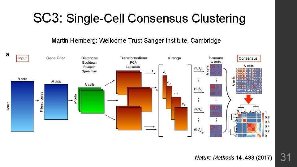 SC 3: Single-Cell Consensus Clustering Martin Hemberg: Wellcome Trust Sanger Institute, Cambridge Nature Methods