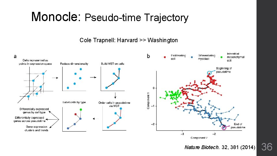 Monocle: Pseudo-time Trajectory Cole Trapnell: Harvard >> Washington Nature Biotech. 32, 381 (2014) 36