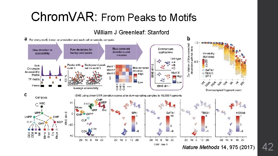Chrom. VAR: From Peaks to Motifs William J Greenleaf: Stanford Nature Methods 14, 975