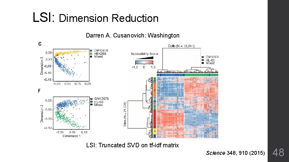 LSI: Dimension Reduction Darren A. Cusanovich: Washington LSI: Truncated SVD on tf-idf matrix Science