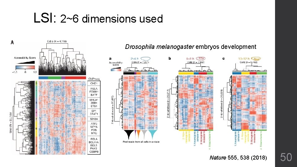 LSI: 2~6 dimensions used Drosophila melanogaster embryos development Nature 555, 538 (2018) 50 