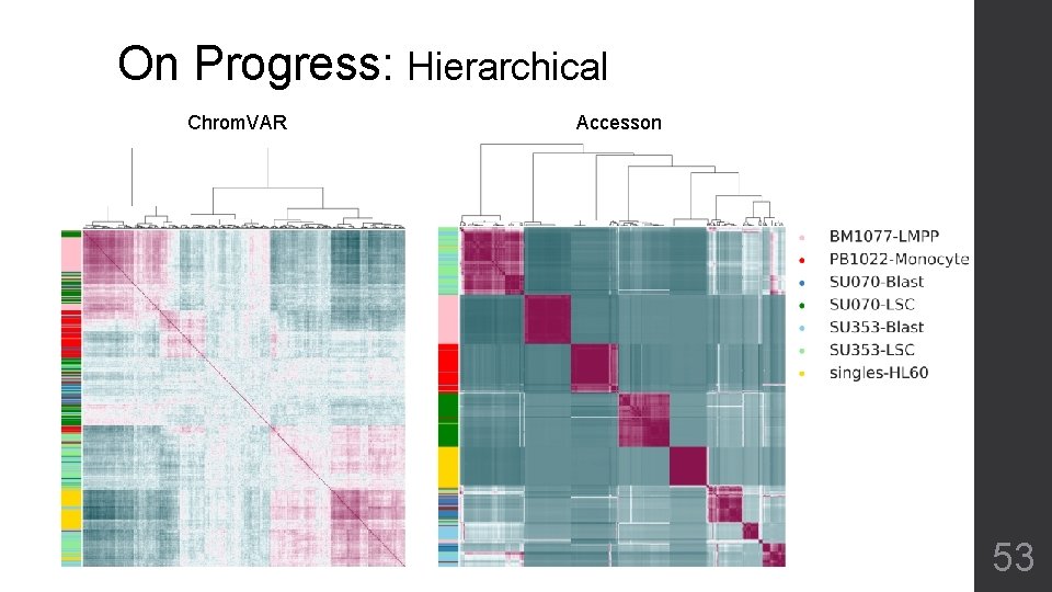 On Progress: Hierarchical Chrom. VAR Accesson 53 
