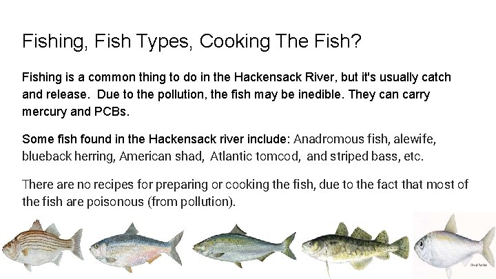 Fishing, Fish Types, Cooking The Fish? Fishing is a common thing to do in