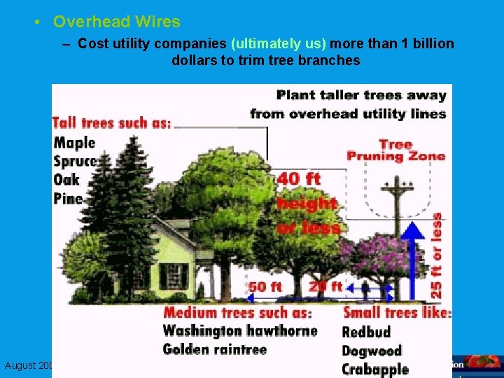  • Overhead Wires – Cost utility companies (ultimately us) more than 1 billion