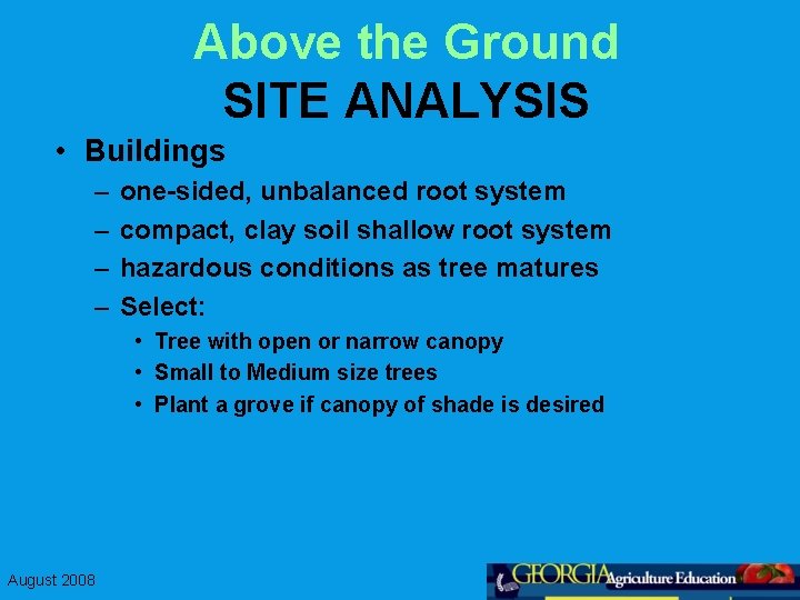 Above the Ground SITE ANALYSIS • Buildings – – one-sided, unbalanced root system compact,