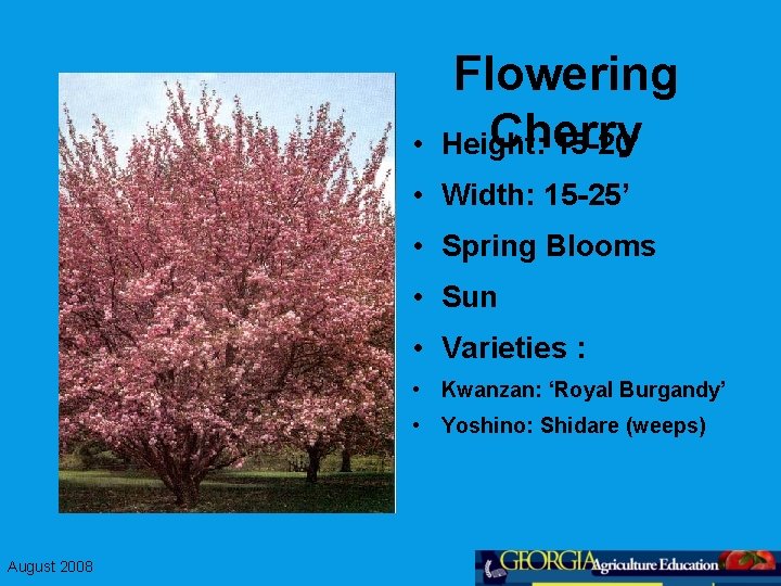  • Flowering Cherry Height: 15 -20’ • Width: 15 -25’ • Spring Blooms