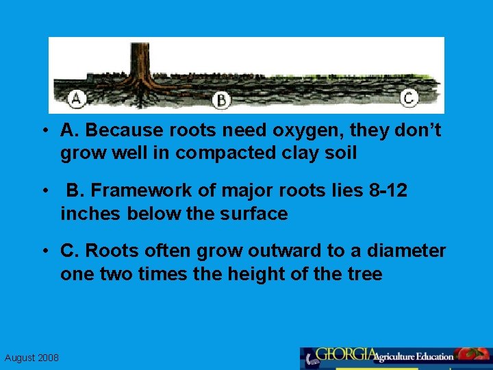  • A. Because roots need oxygen, they don’t grow well in compacted clay