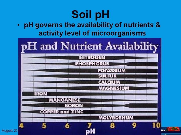 Soil p. H • p. H governs the availability of nutrients & activity level