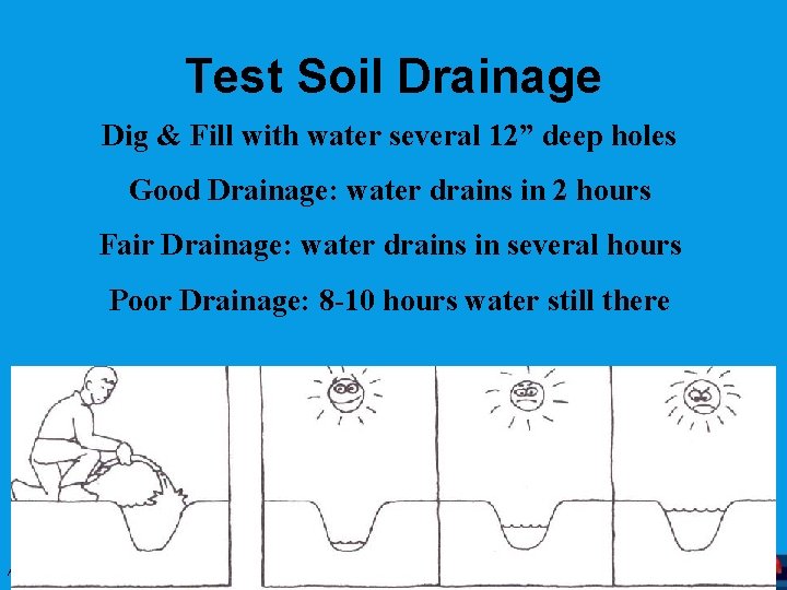 Test Soil Drainage Dig & Fill with water several 12” deep holes Good Drainage: