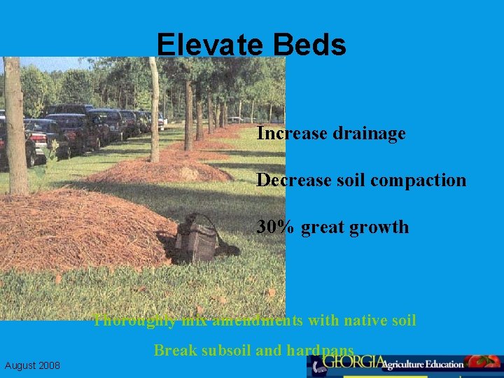 Elevate Beds Increase drainage Decrease soil compaction 30% great growth Thoroughly mix amendments with