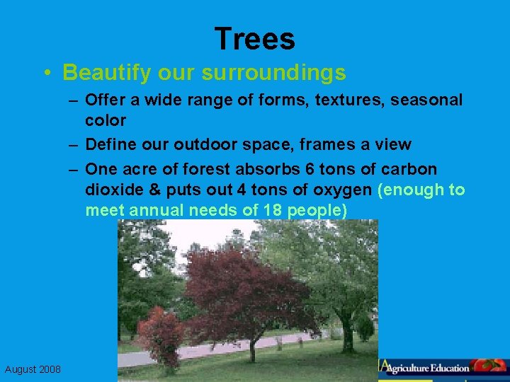 Trees • Beautify our surroundings – Offer a wide range of forms, textures, seasonal