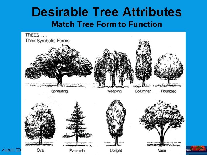 Desirable Tree Attributes Match Tree Form to Function August 2008 