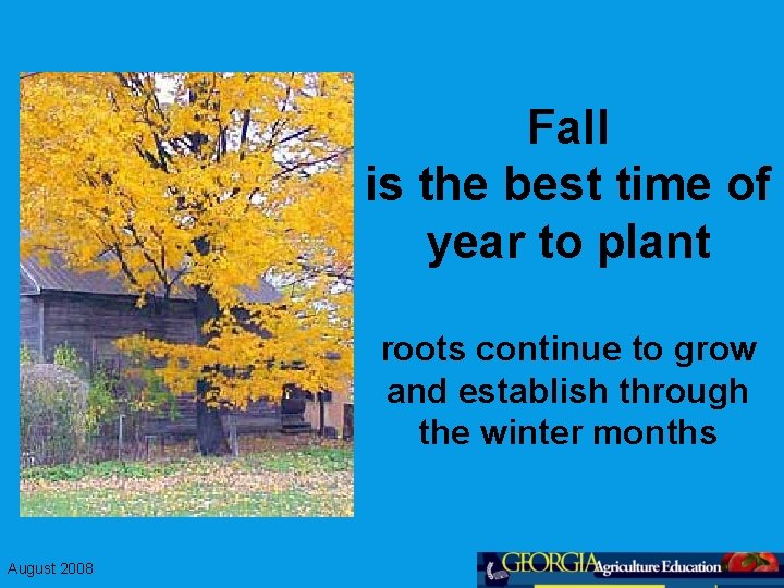 Fall is the best time of year to plant roots continue to grow and